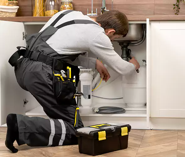 Certified Plumbers for Insinkerator Installation in Coronado