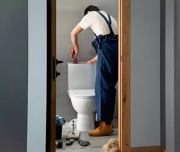 Professional Plumbers for Toilet Bowl Replacement in Coronado, CA: Schedule Affordable Toilet Replacement Services With Us