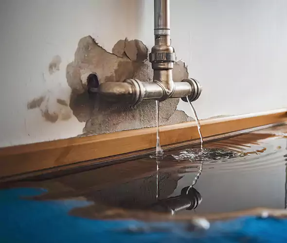 Professional Water Damage Restoration Experts in Coronado, CA — Fast, Reliable & Certified