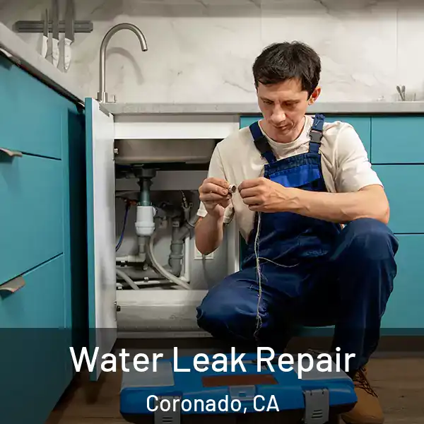  Water Leak Repair Coronado, CA